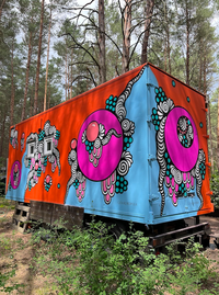 Fully painted tiny house with bold patterns and colors in the forest